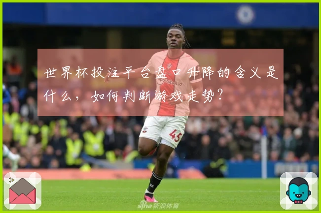世界杯投注平台盘口升降的含义是什么，如何判断游戏走势？