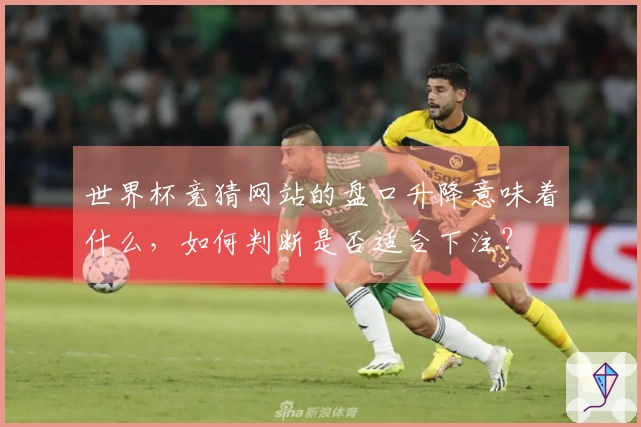 世界杯竞猜网站的盘口升降意味着什么，如何判断是否适合下注？