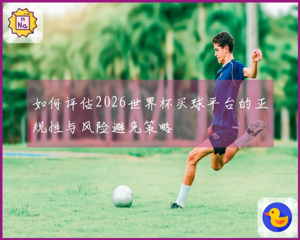 如何评估2026世界杯买球平台的正规性与风险避免策略