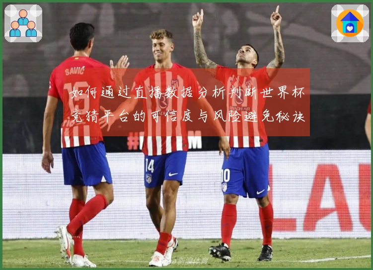 乐鱼体育资讯封面