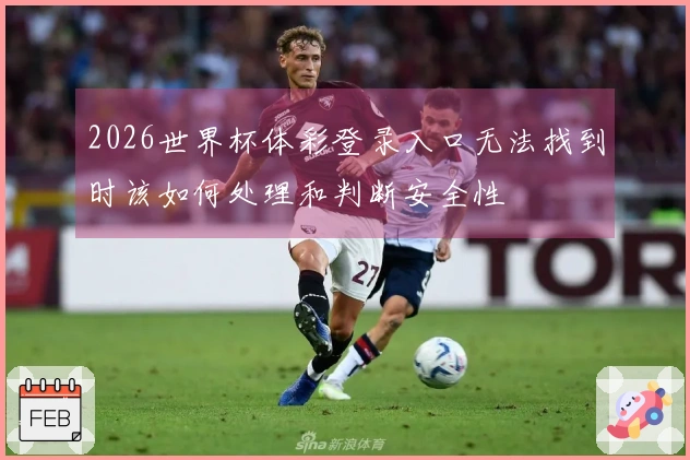 2026世界杯体彩登录入口无法找到时该如何处理和判断安全性