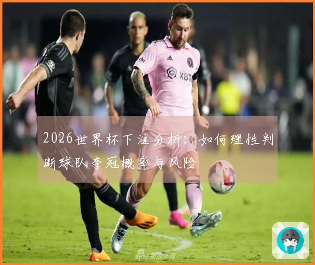 2026世界杯下注分析：如何理性判断球队夺冠概率与风险