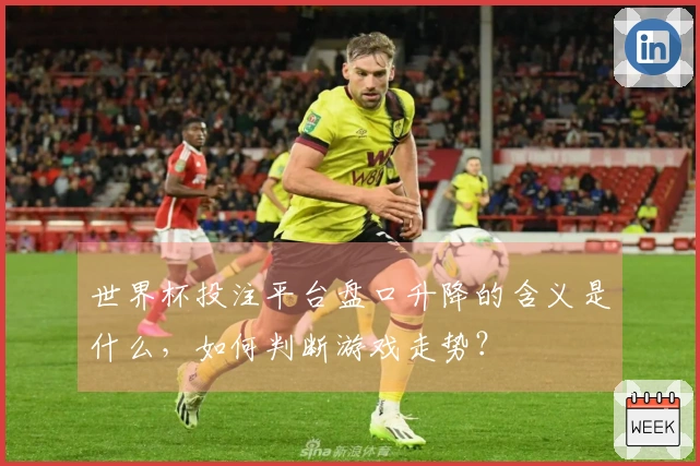 世界杯投注平台盘口升降的含义是什么，如何判断游戏走势？