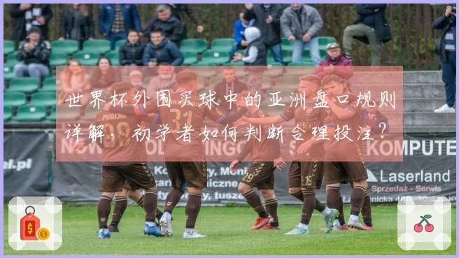 世界杯外围买球中的亚洲盘口规则详解，初学者如何判断合理投注？