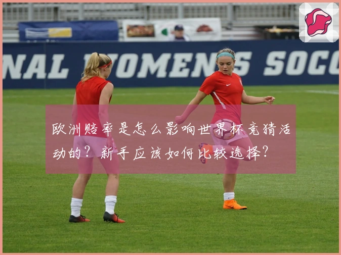 乐鱼体育资讯封面